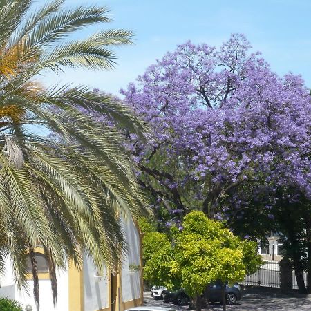 Real Escuela Home Jerez de la Frontera Exteriör bild