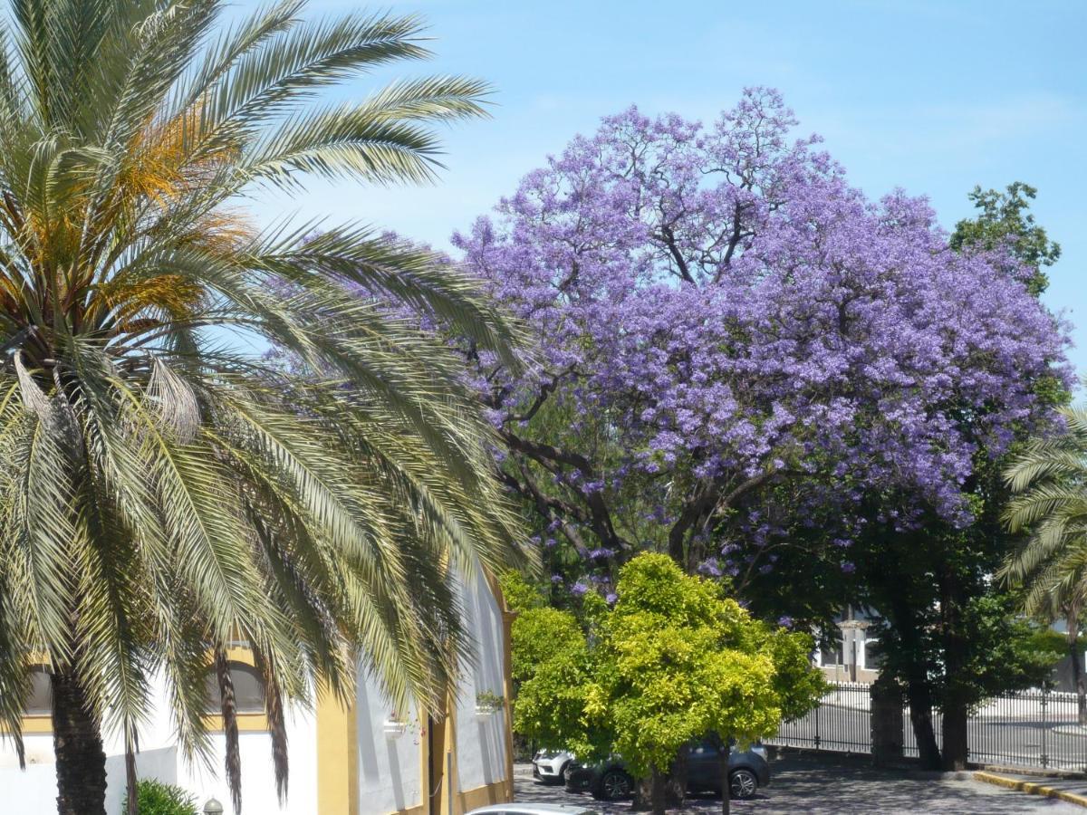 Real Escuela Home Jerez de la Frontera Exteriör bild